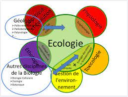 Ecologie Générale 